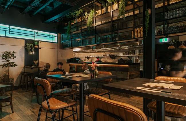 Plants hanging from the ceiling inside a restaurant.