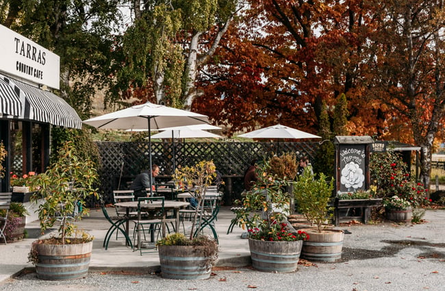 Outdoor tables and chairs in a courtyard at Tarras Village.