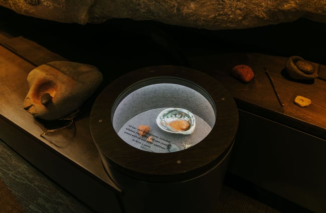 Paua shell on display at Te Ana Maori Rock Art Centre, Timaru.