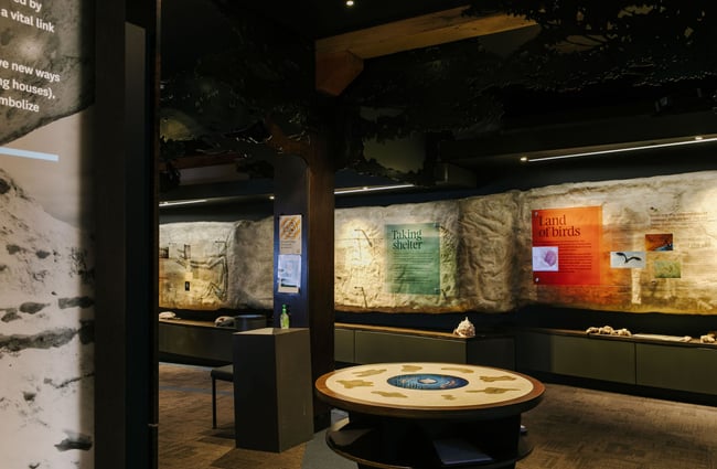 Wide angle of Te Ana Maori Rock Art Centre, Timaru.