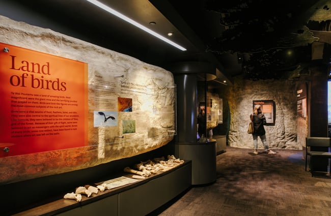 Woman looking at display at Te Ana Maori Rock Art Centre, Timaru.