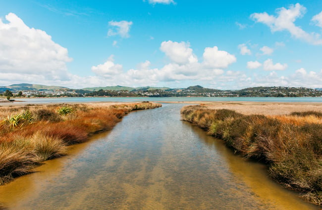 Inlet on Te Ara Piko Walkway, Porirua.