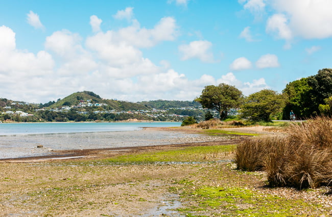 Looking across marshland on Te Ara Piko Walkway, Porirua.