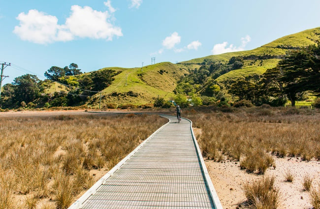 Someone cycling on the boardwalk part of Te Ara Piko Walkway, Porirua.