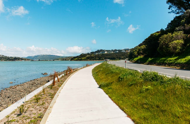 Walkway heading towards water on Te Ara Piko Walkway, Porirua.