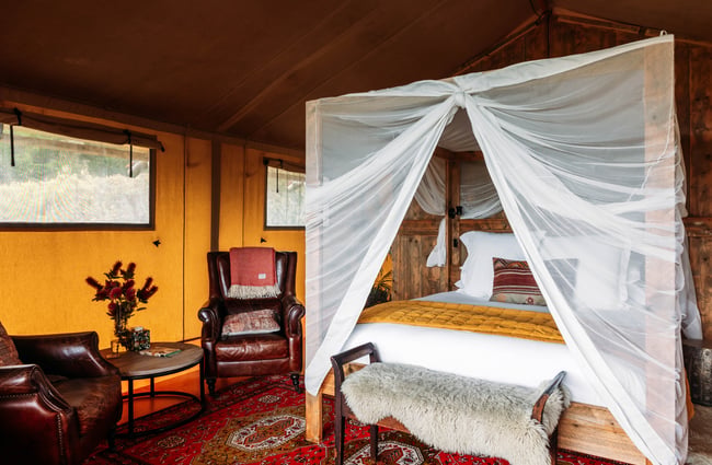 Closer view of the bedroom at Te Hāpua Coastal Glamping.