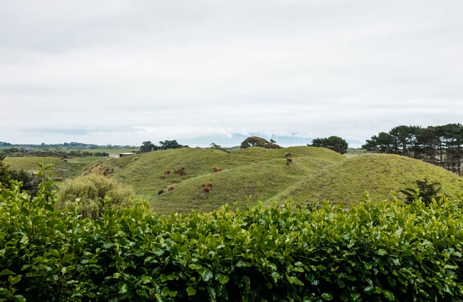 Beautiful countryside view from Te Hāpua Coastal Glamping.