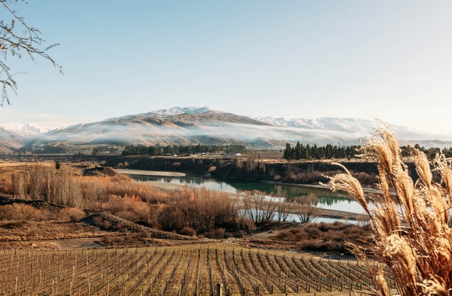 A view of Central Otago on a sunny day.