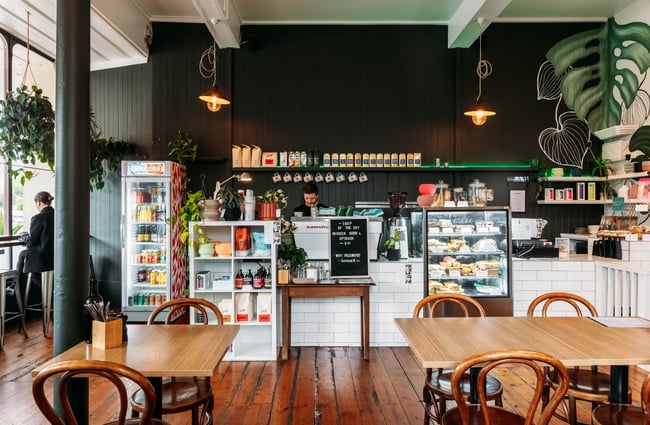 Interior of Tees St in Ōamaru with a dark green aesthetic filled with lots of plants