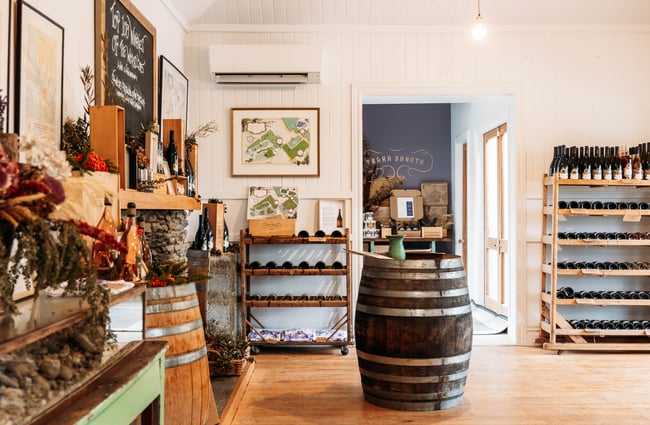 Barrel displays with wine bottles and shelves with bottles of wine in the tasting room at Terra Sancta.