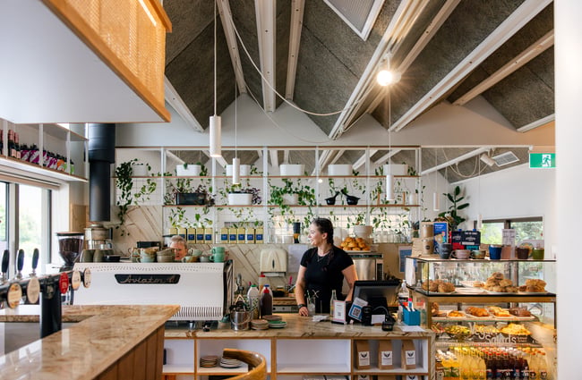 Cafe assistant behind the front counter and food cabinet at The Birdwood.