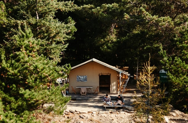 A small cabin nestled in bushes.