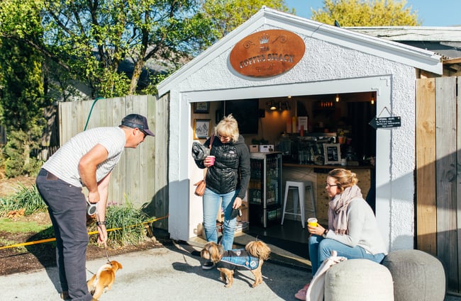 Customers hanging out with their dogs.
