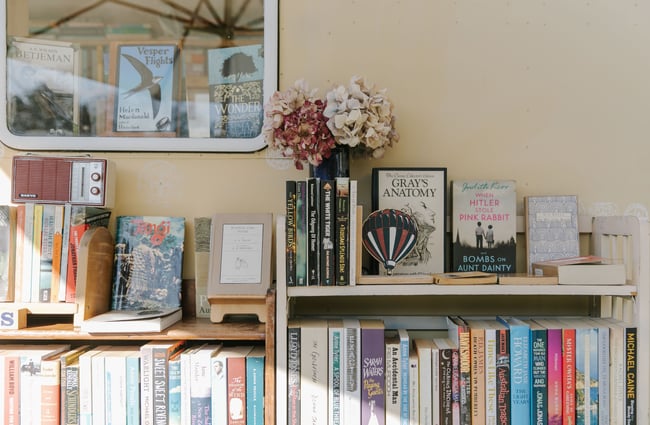 Sun shining through a window on to books on display inside The Custard Square Bookshop.