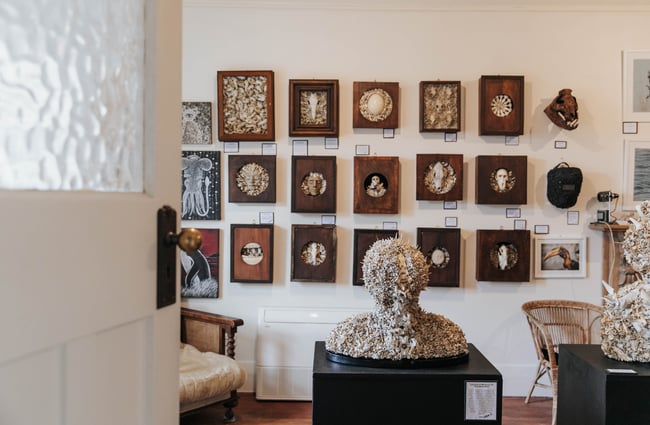Bones on display on walls and tables.