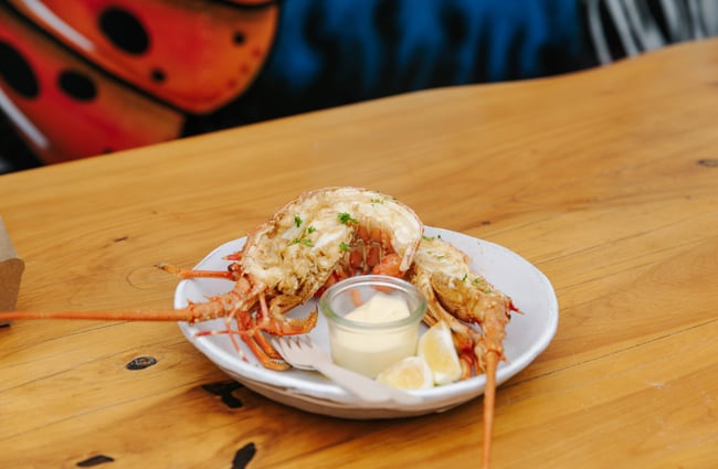 Cooked lobster on a plate at the FishWife in Moeraki.