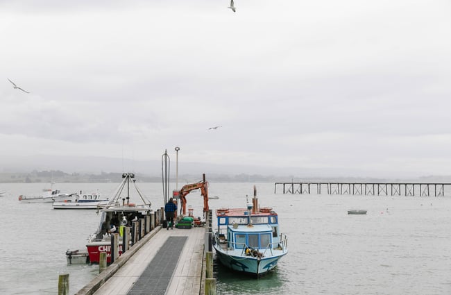 Fishing boat next to the jetty at the FishWife in Moeraki.