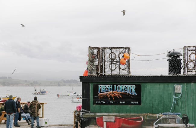 Painted fresh lobster sign at the FishWife in Moeraki.