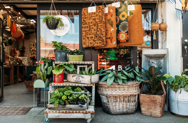 Plants in pots outside the shop at The Flower Crate.