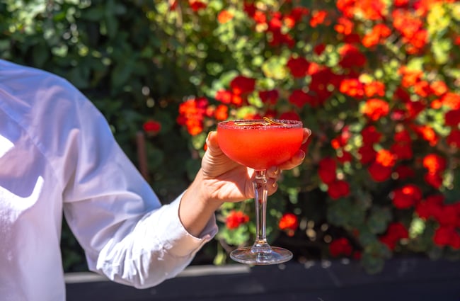 Someone holding up a bright red cocktail in front of flowery bush