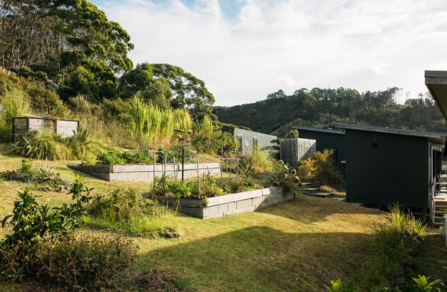 Vegetation behind The Huts.