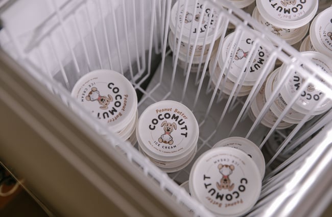 Close up of ice cream for dogs in the freezer.