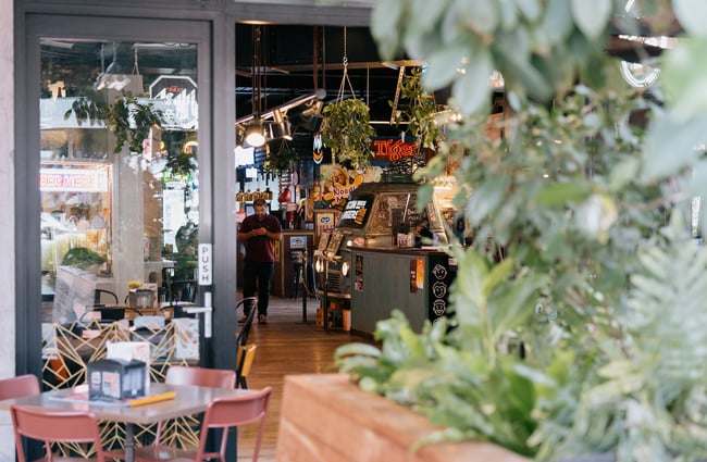Greenery detail with view into indoor dining area at Little High Eatery in Christchurch