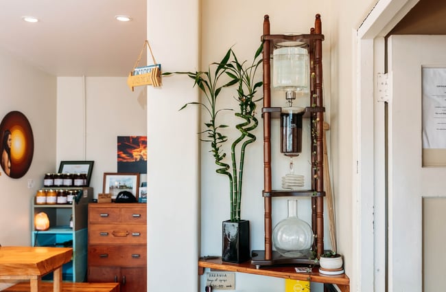 A bamboo plant and a wooden and glass, multi-level retro coffee percolator as decor inside The Lost Boys.