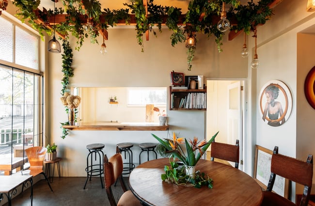 Interior space of The Lost Boys in Hamilton with greenery hanging from a suspended wooden frame overhead.