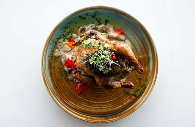 A close up of a roast chicken on a plate.