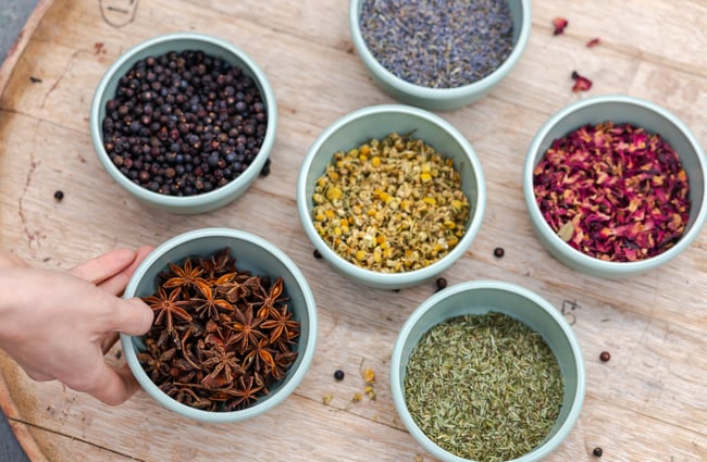 Small bowls of different ingredients used in the distilling process at The Spirits Workshop.