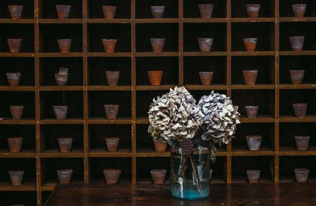Dried flowers on a table.