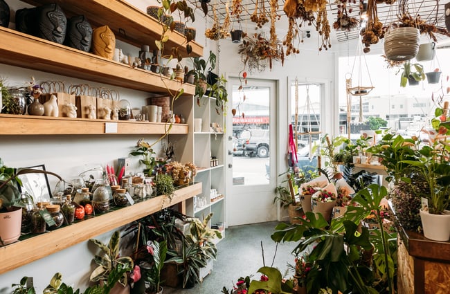 Flowers and plants inside a bright and sunny shop.