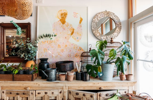 Potted plants on a shelf.