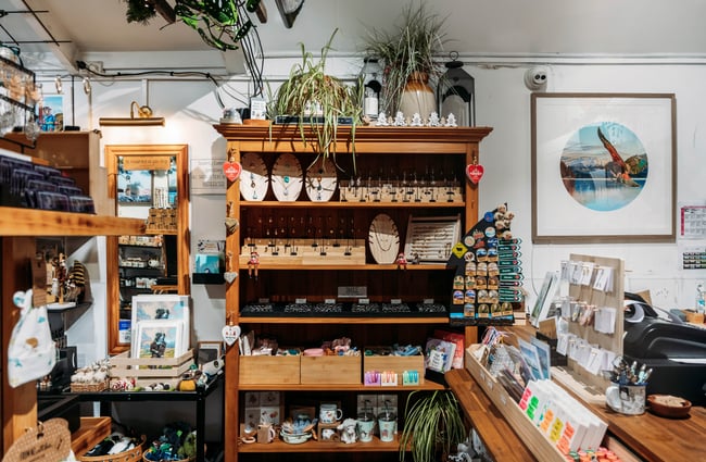 Product display at Thieving Kea.