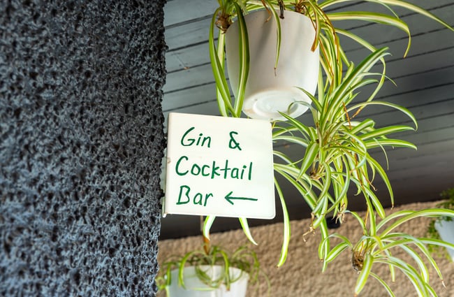 Gin & cocktail bar sign at Tini Bar in Akaroa