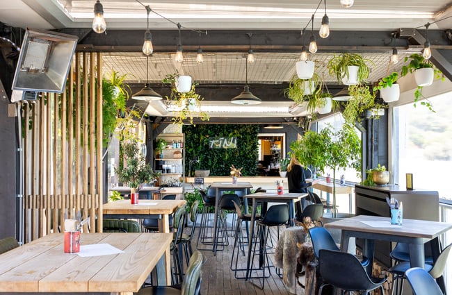 Interior of Tini Bar in Akaroa with lots of greenery and bar seating next to the water