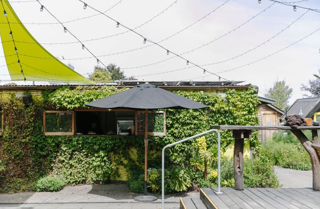 Kitchen building exterior covered in green ivy at Toad Hall.