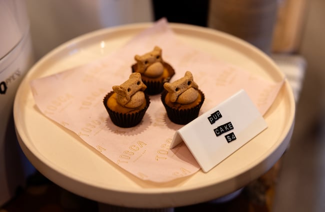 A plate of pup treats from Tosca