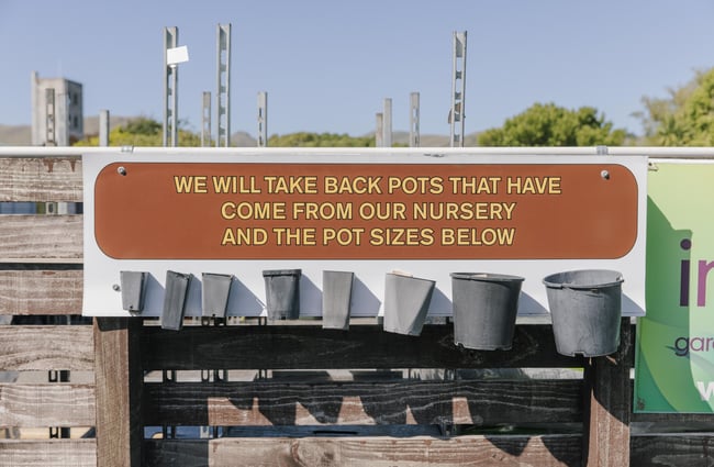 An information sign at Trees for Canterbury.