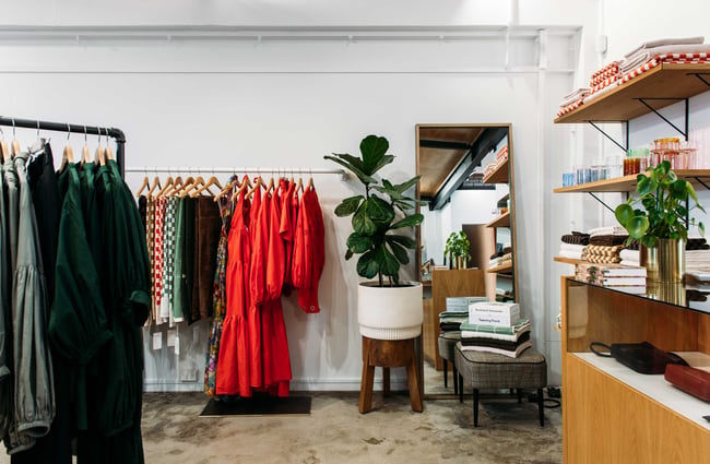 A full body mirror and potted ficus plant next to a clothing rack.