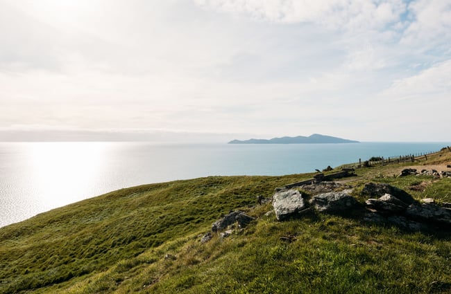 A view of the ocean from atop a hill.