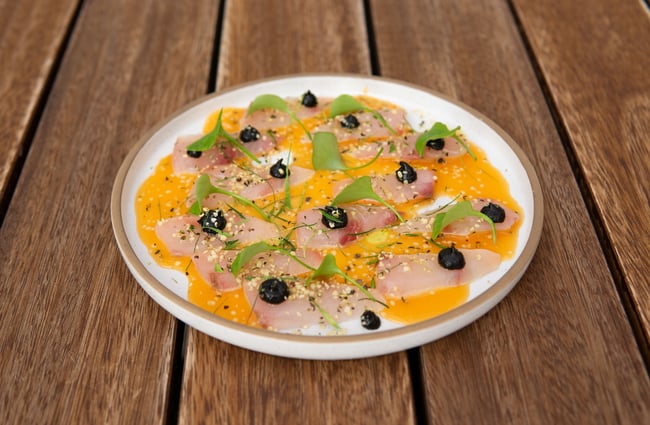 Close up of a plate of white fish crudo garnished with foraged greens and dollops of a black sauce.