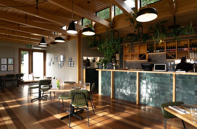 The natural light-filled interior of Tussock Hill restaurant with its wooden floors, ceiling and hanging plants and lamps.