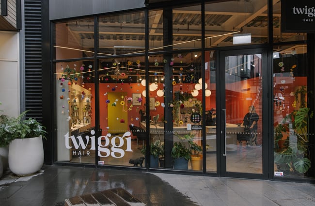 Exterior view of Twiggi Hair.