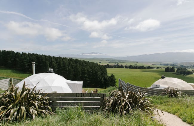 Looking down towards the tent at Valley Views Glamping in Waitaki.