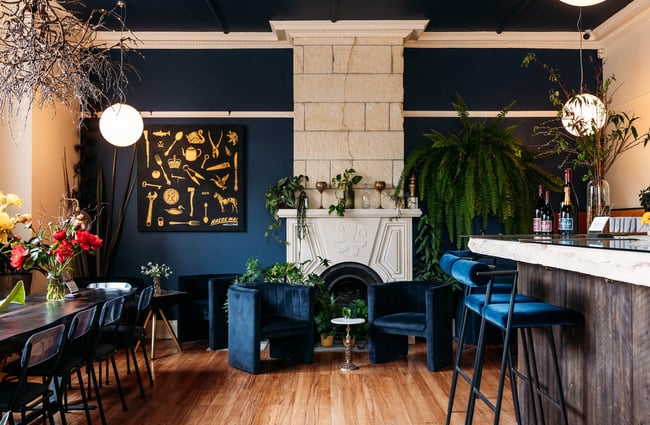 Elegant and contemporary interior of VALLI Wine Bar with deep blue walls, velvet furnishings and lots of green plants and flowers