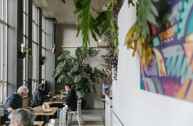 Seating area in Vanguard with big monstera plant.
