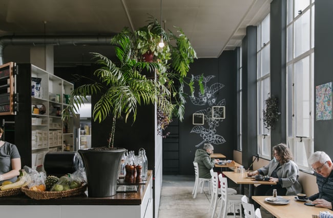 The cafe space with plants at Vanguard, Dunedin.