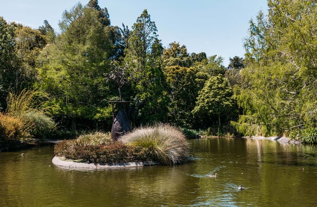 A pond at the Victoria Esplanade Palmerston North.